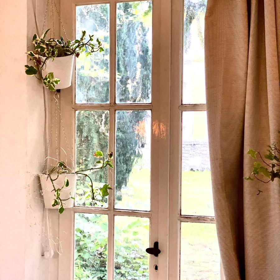 ヴュルツブルク Little Escape Im Jugendstil Poolhaus - Wc Und Dusche Im Nebenhausヴィラ エクステリア 写真
